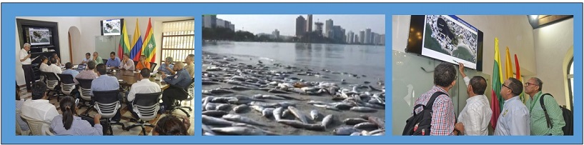 ALCALDÍA ESTUDIA SOLUCIÓN A MORTANDAD DE PECES EN EL LAGUITO 