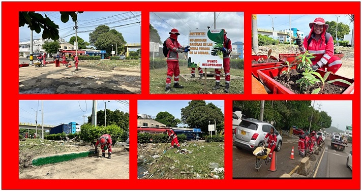 “AVENIDAS LIMPIAS”: COMPROMISO DE VEOLIA 