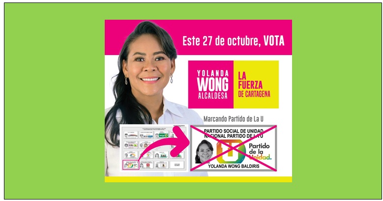 YOLANDA WONG GANÓ BATALLA JURÍDICA ANTE EL CNE 